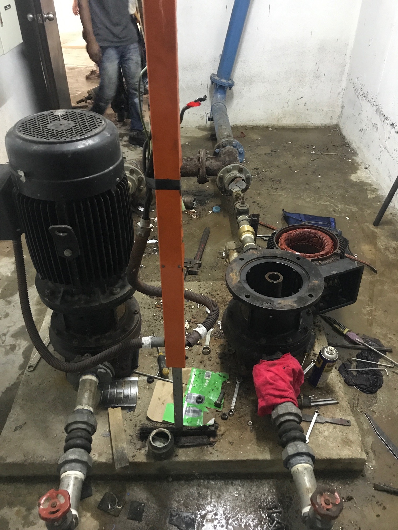 Grundfso Water Pumps Maintenance and Repair Services Technician Malaysia